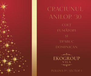 AsInfo 5 Eko Group Vila: O Întoarcere în Eleganța Crăciunului Anilor ’30